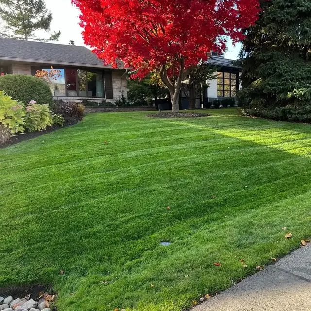 RD Landscaping Work Results