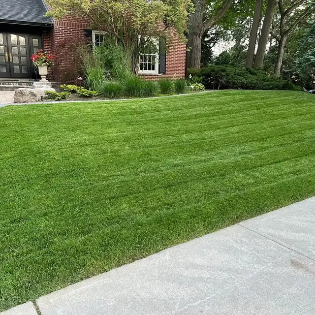 RD Landscaping Work Results